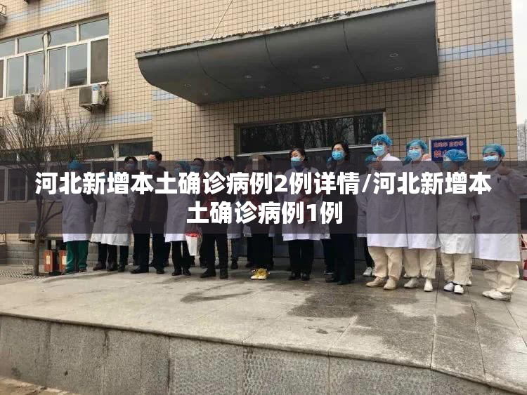 河北新增本土确诊病例2例详情/河北新增本土确诊病例1例