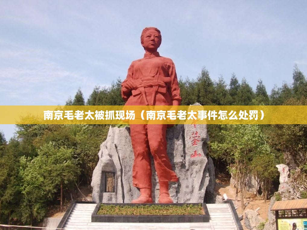 南京毛老太被抓现场（南京毛老太事件怎么处罚）