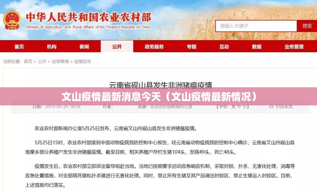 文山疫情最新消息今天（文山疫情最新情况）