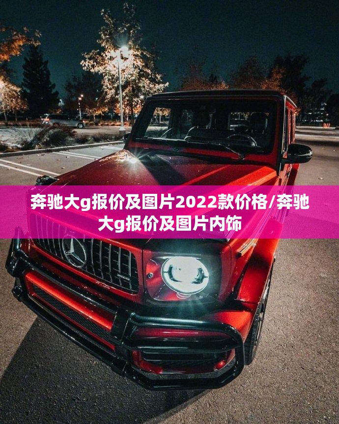 奔驰大g报价及图片2022款价格/奔驰大g报价及图片内饰