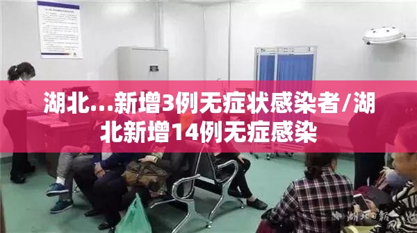 湖北…新增3例无症状感染者/湖北新增14例无症感染