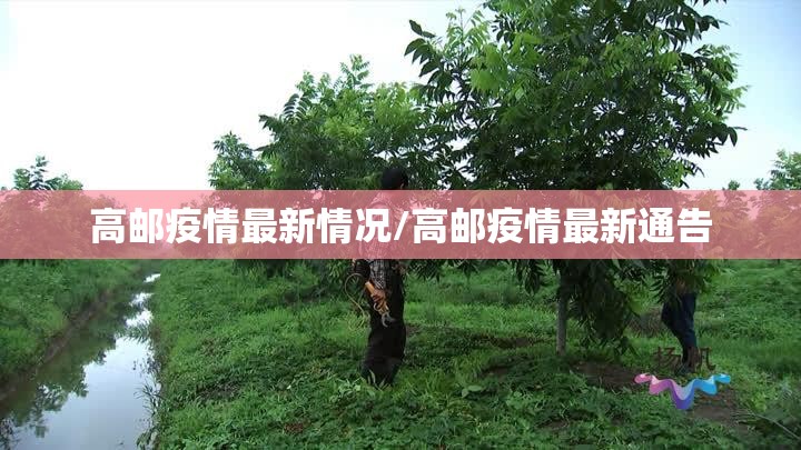 高邮疫情最新情况/高邮疫情最新通告 高邮疫情最新情况/高邮疫情最新通告