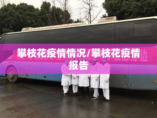 攀枝花疫情情况/攀枝花疫情报告