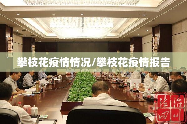 攀枝花疫情情况/攀枝花疫情报告
