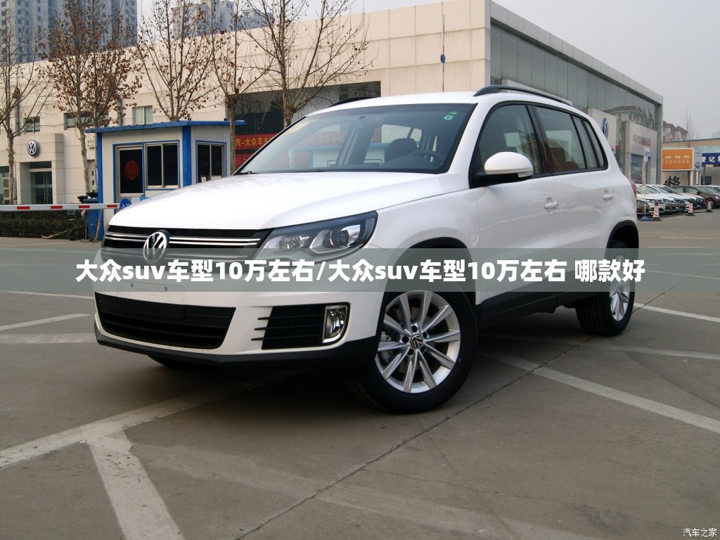 大众suv车型10万左右/大众suv车型10万左右 哪款好