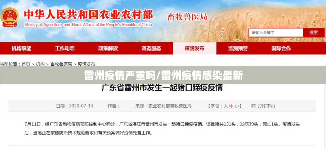 雷州疫情严重吗/雷州疫情感染最新