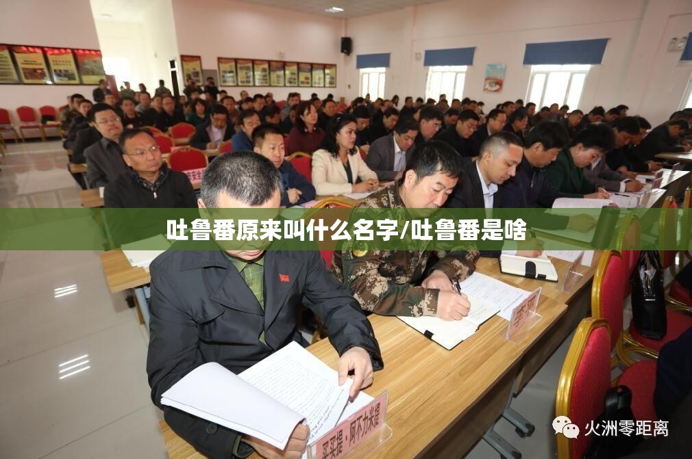 吐鲁番原来叫什么名字/吐鲁番是啥