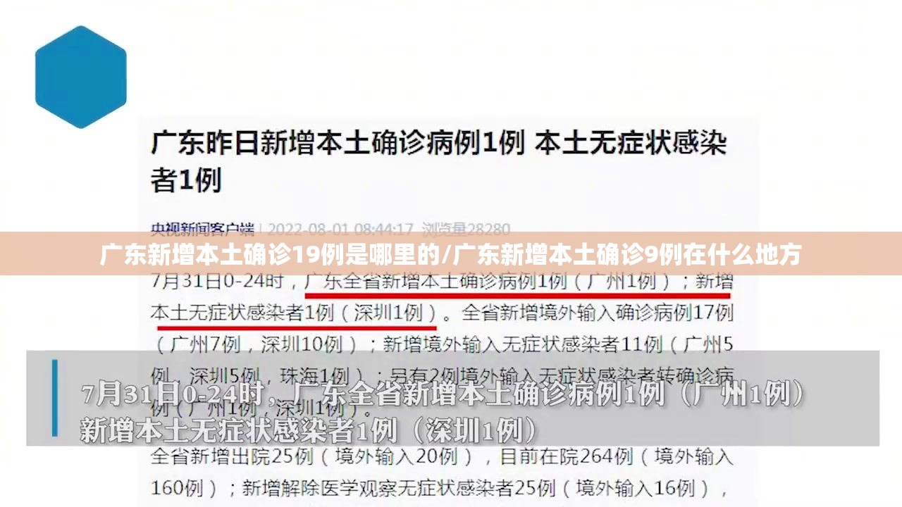 广东新增本土确诊19例是哪里的/广东新增本土确诊9例在什么地方