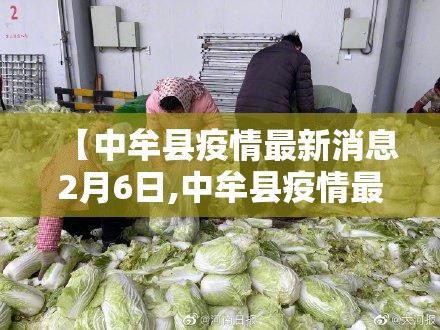 【中牟县疫情最新消息2月6日,中牟县疫情最新消息2月6日是什么】