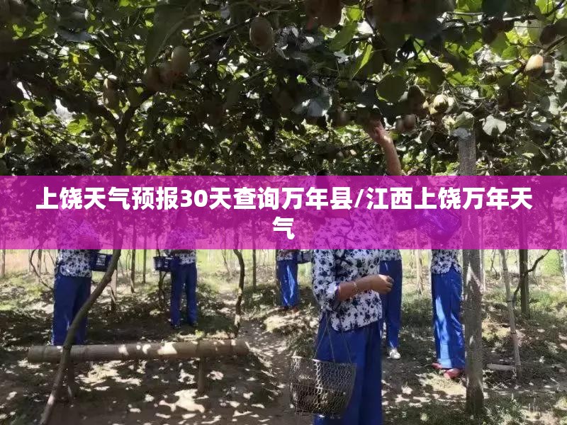 上饶天气预报30天查询万年县/江西上饶万年天气