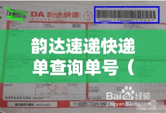 韵达速递快递单查询单号（韵达快递单号递单号查询）