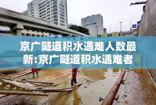 京广隧道积水遇难人数最新:京广隧道积水遇难者