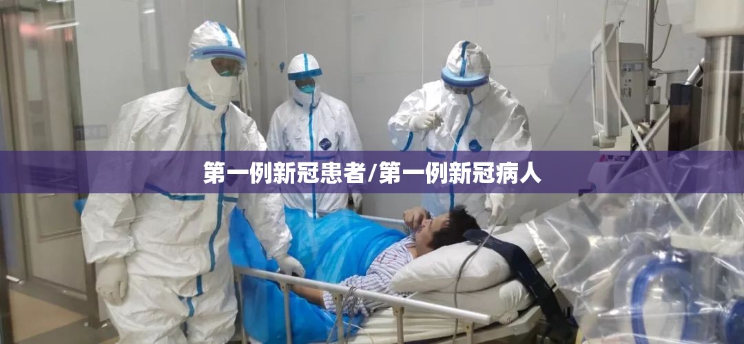 第一例新冠患者/第一例新冠病人