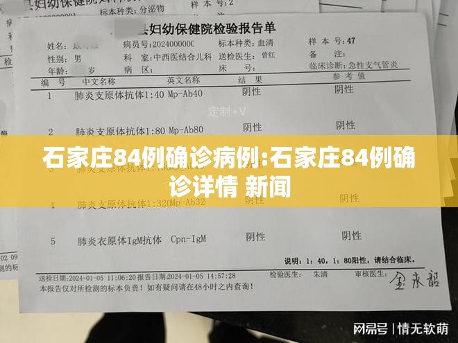 石家庄84例确诊病例:石家庄84例确诊详情 新闻