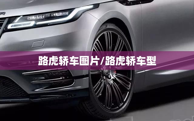 路虎轿车图片/路虎轿车型