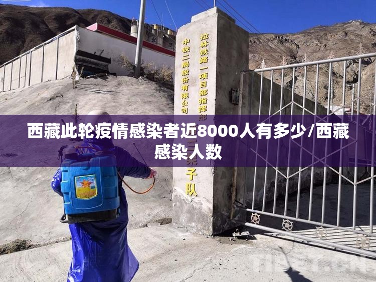 西藏此轮疫情感染者近8000人有多少/西藏感染人数