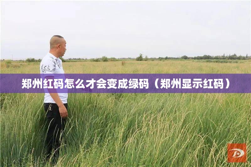 郑州红码怎么才会变成绿码（郑州显示红码）