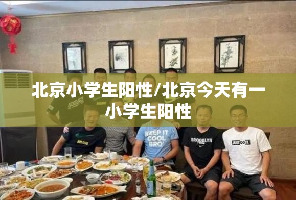 北京小学生阳性/北京今天有一小学生阳性