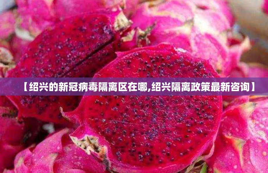 【绍兴的新冠病毒隔离区在哪,绍兴隔离政策最新咨询】