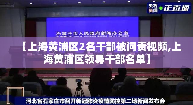 【上海黄浦区2名干部被问责视频,上海黄浦区领导干部名单】