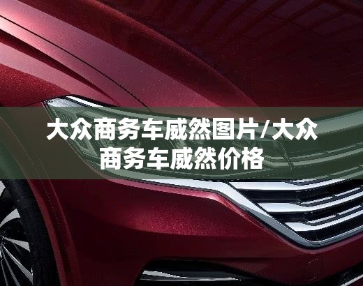 大众商务车威然图片/大众商务车威然价格