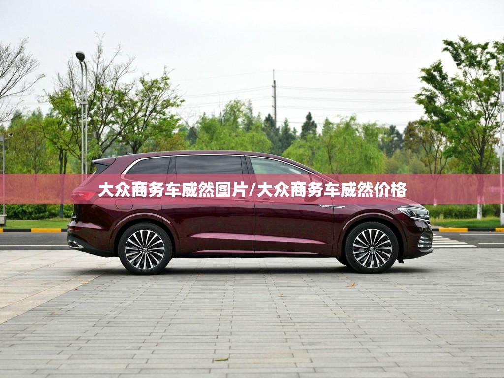 大众商务车威然图片/大众商务车威然价格