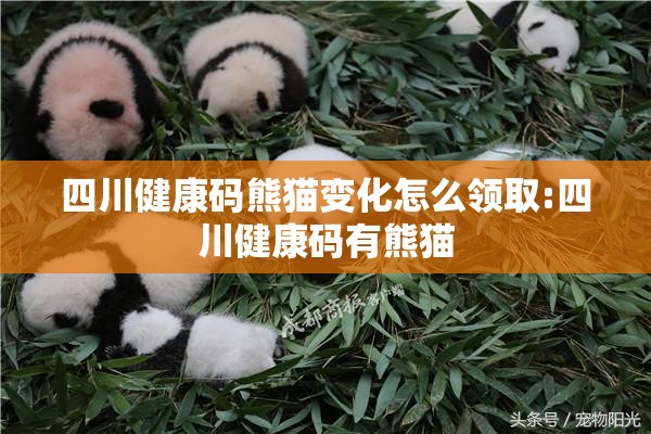 四川健康码熊猫变化怎么领取:四川健康码有熊猫