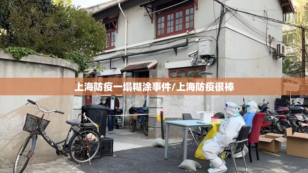 上海防疫一塌糊涂事件/上海防疫很棒