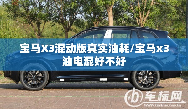 宝马X3混动版真实油耗/宝马x3油电混好不好