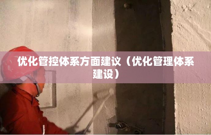 优化管控体系方面建议（优化管理体系建设）