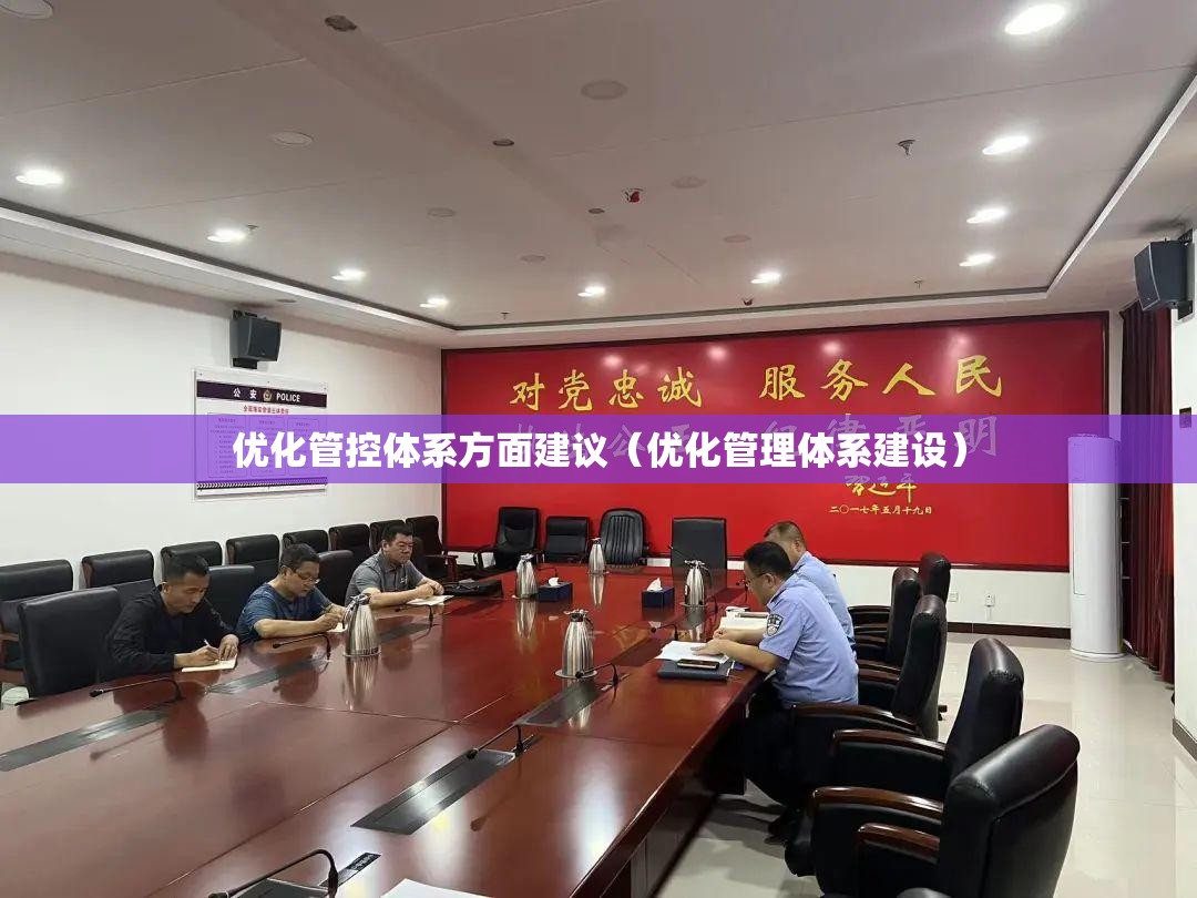 优化管控体系方面建议（优化管理体系建设）