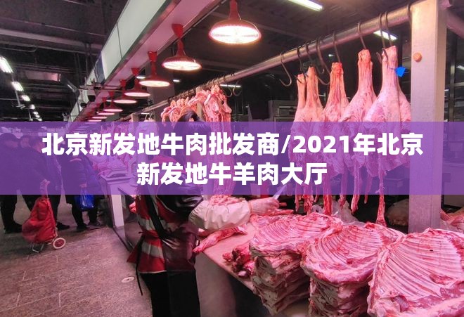 北京新发地牛肉批发商/2021年北京新发地牛羊肉大厅