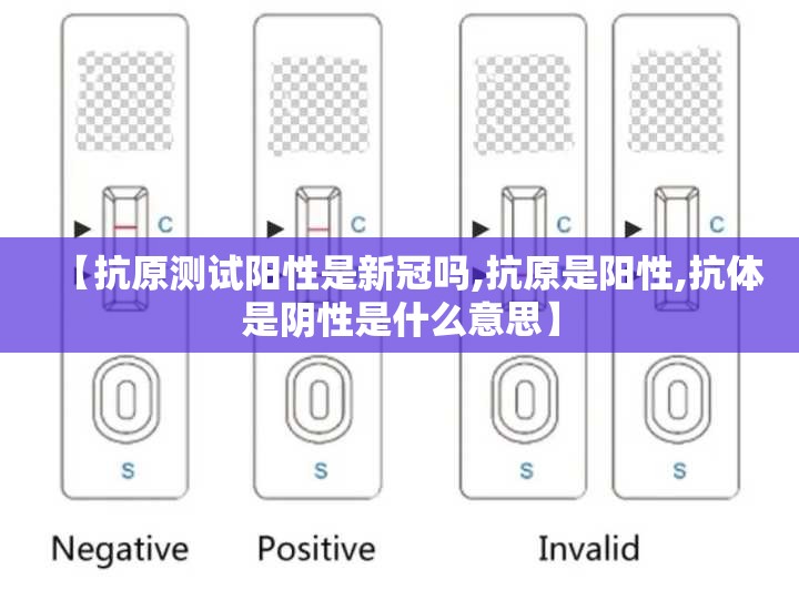 【抗原测试阳性是新冠吗,抗原是阳性,抗体是阴性是什么意思】